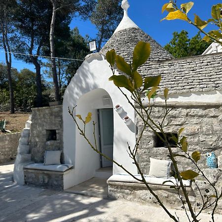 Bed and Breakfast Il Trullo Di Simona Locorotondo Exterior foto