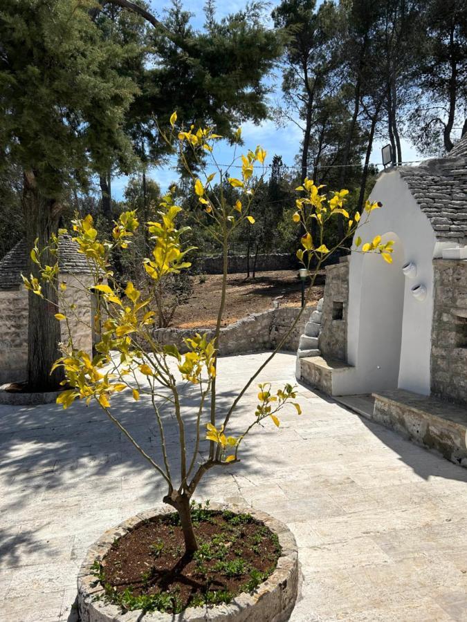 Bed and Breakfast Il Trullo Di Simona Locorotondo Exterior foto
