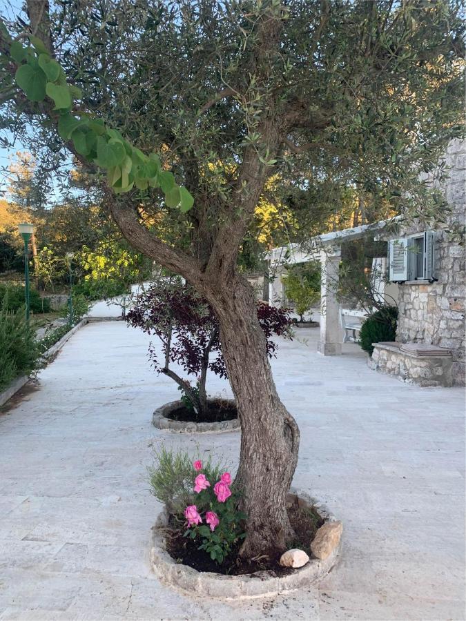 Bed and Breakfast Il Trullo Di Simona Locorotondo Exterior foto
