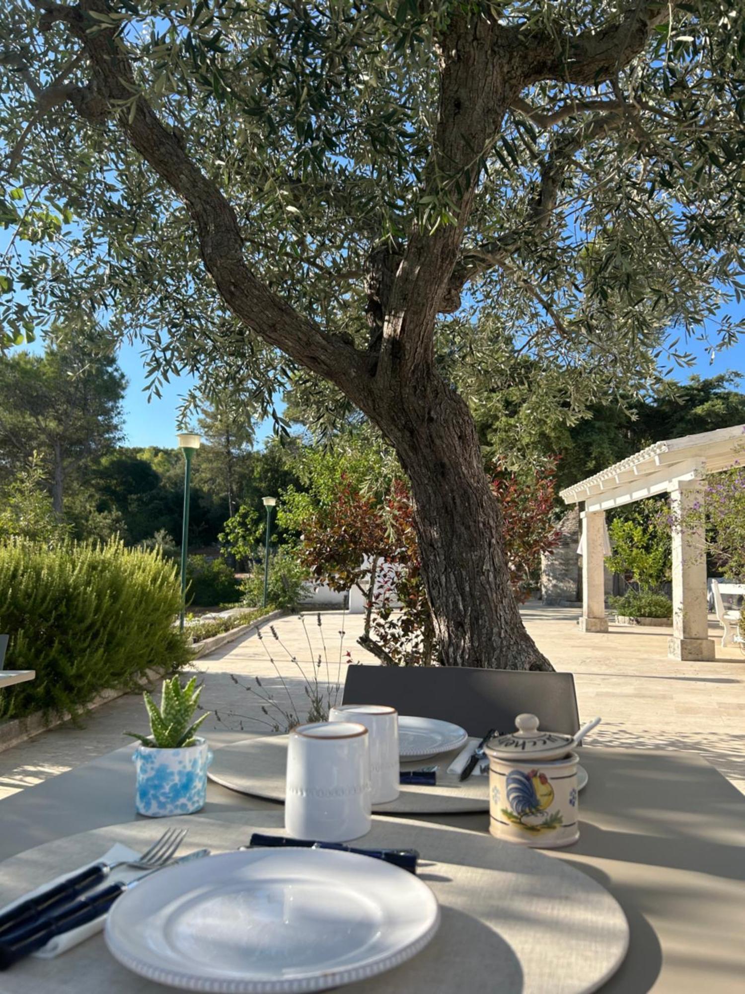 Bed and Breakfast Il Trullo Di Simona Locorotondo Exterior foto