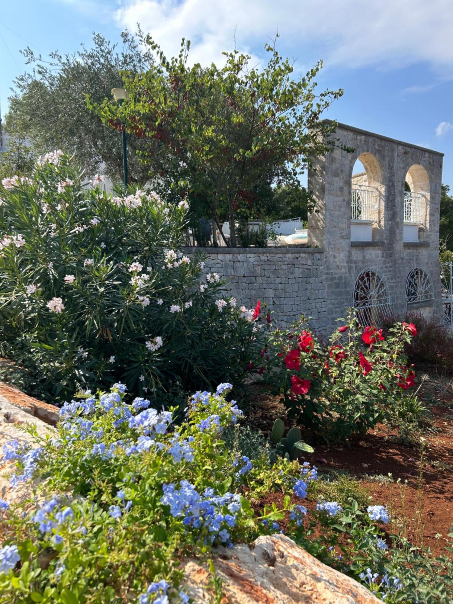 Bed and Breakfast Il Trullo Di Simona Locorotondo Exterior foto