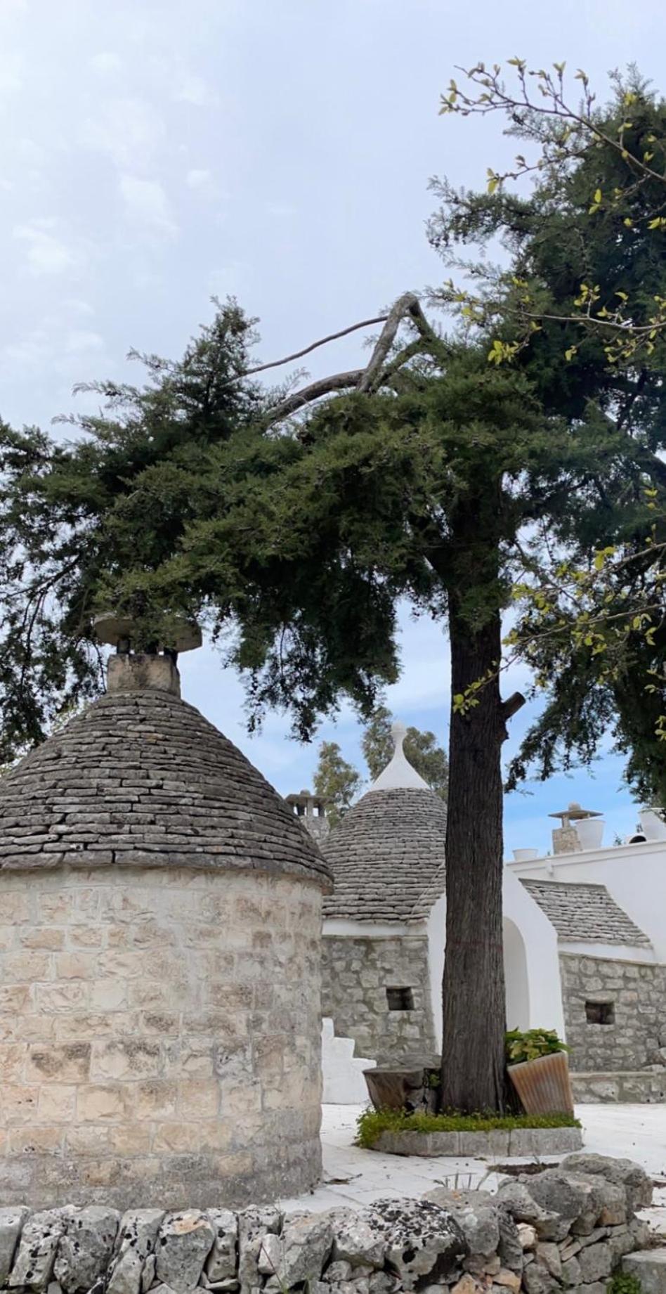 Bed and Breakfast Il Trullo Di Simona Locorotondo Exterior foto